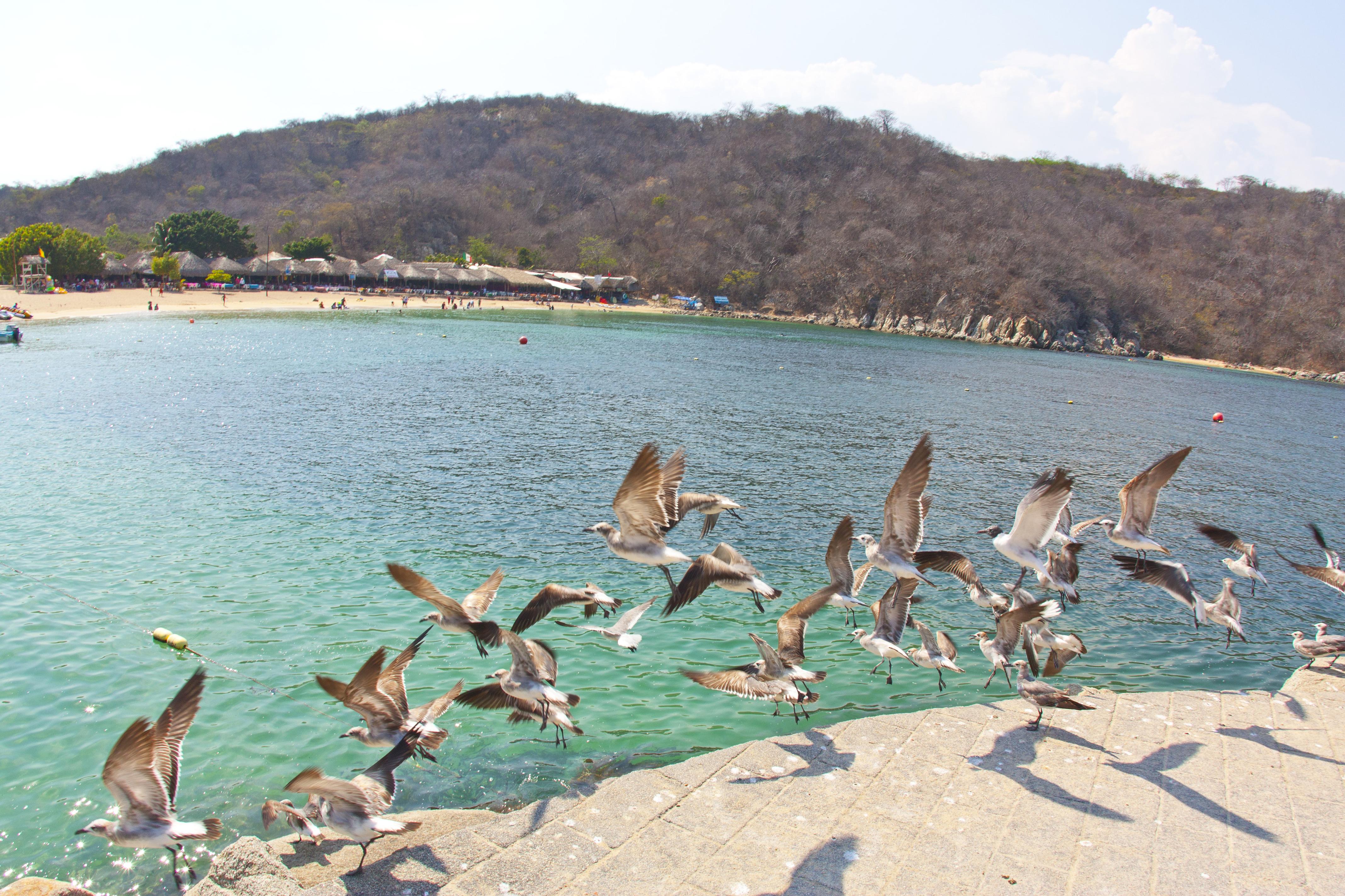 Villa Blanca Huatulco Santa Cruz Huatulco Eksteriør billede
